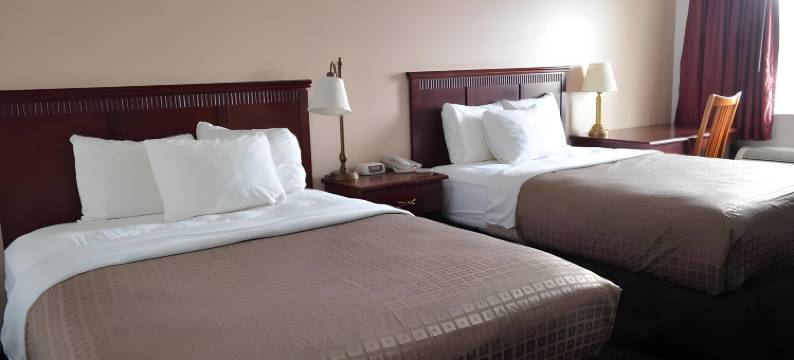 尼波山国立9号酒店(National 9 Mount Nebo)图片