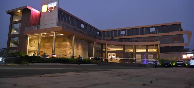 Mastiff Select Bidar图片