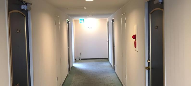 绿色商务饭店-八日市(Business Green Hotel Youkaichi)图片