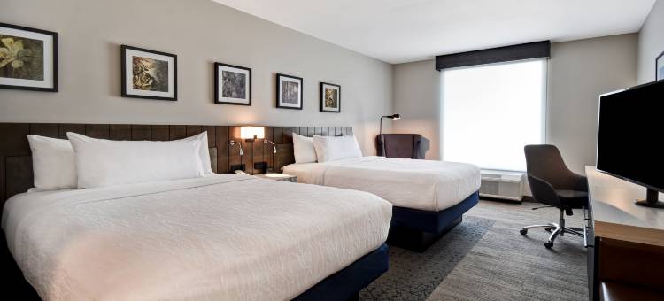 杰克逊希尔顿花园酒店(Hilton Garden Inn Jackson)图片