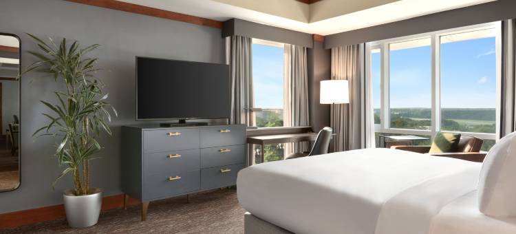 希尔顿酒店-BWI机场(Hilton Baltimore BWI Airport)图片