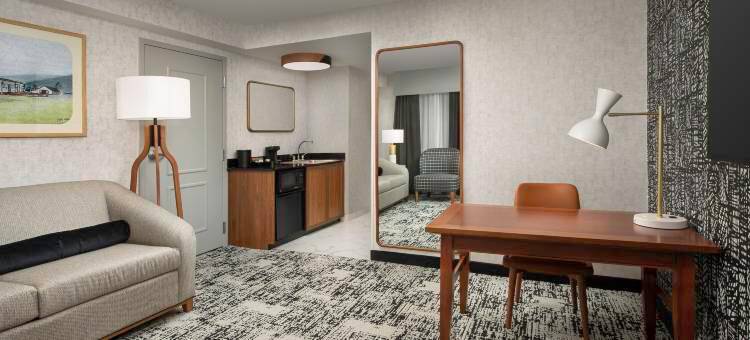 杜勒斯北劳登希尔顿安泊酒店(Embassy Suites by Hilton Dulles North Loudoun)图片
