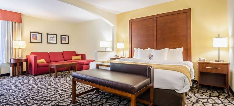 因斯布鲁克-舒特庞普舒适套房酒店(Comfort Suites Innsbrook - Short Pump)图片