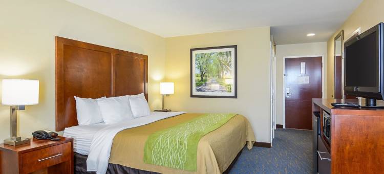 伍德斯托克仙纳度舒适酒店(Comfort Inn Woodstock Shenandoah)图片