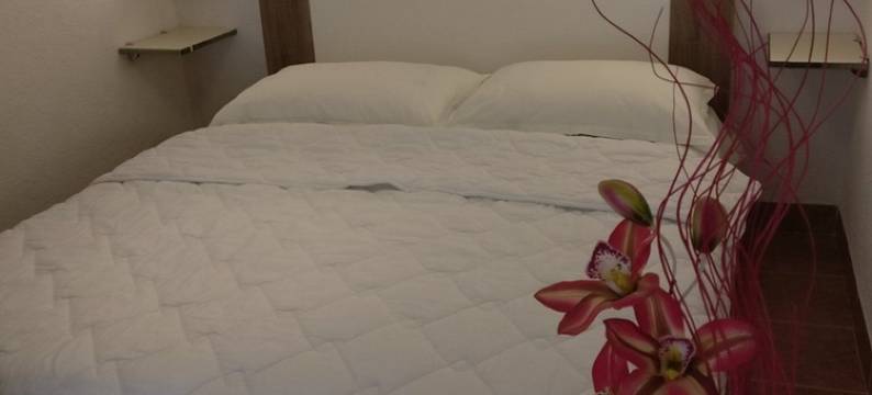 托皮奇公寓(Apartments Topić)图片