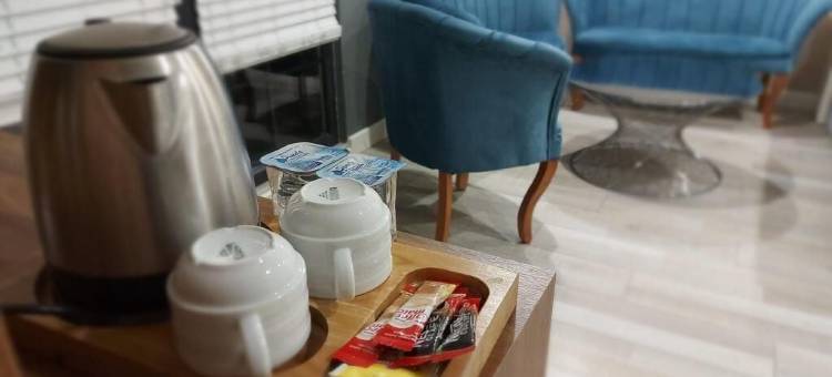 白金套房酒店(White Golden Suite Hotel)图片