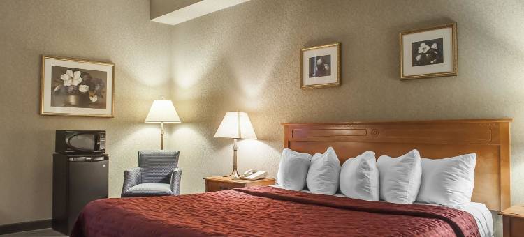 舒适酒店-伦迪巷(Comfort Inn Lundy's Lane)图片