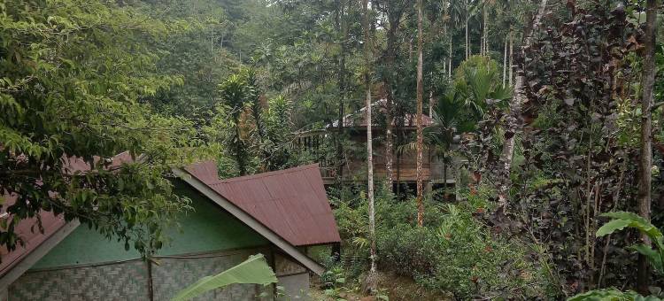 唐卡汉绿色小屋(Green Lodge Tangkahan)图片