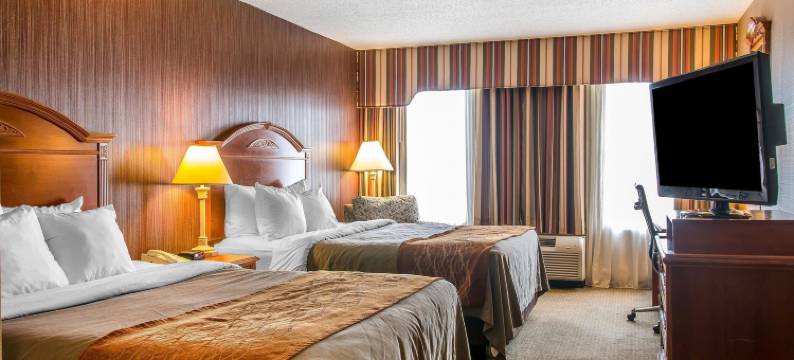 切尔西舒适酒店(Comfort Inn)图片