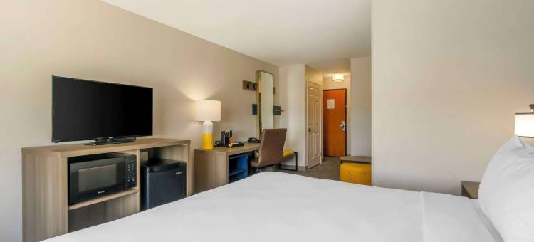 舒适套房酒店-萨拉索塔-西耶斯塔岛(Comfort Suites Sarasota-Siesta Key)图片