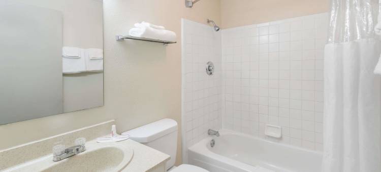 诺克斯维尔市区速8酒店(Super 8 by Wyndham Knoxville Downtown Area)图片