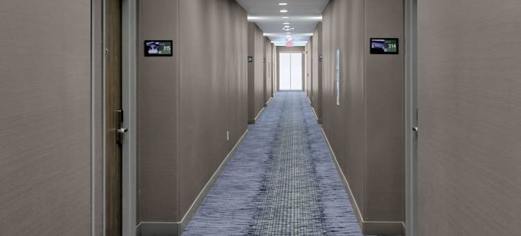 希尔顿欢朋套房酒店-休斯顿-赛普里斯站(Hampton Inn & Suites Houston-Cypress Station)图片