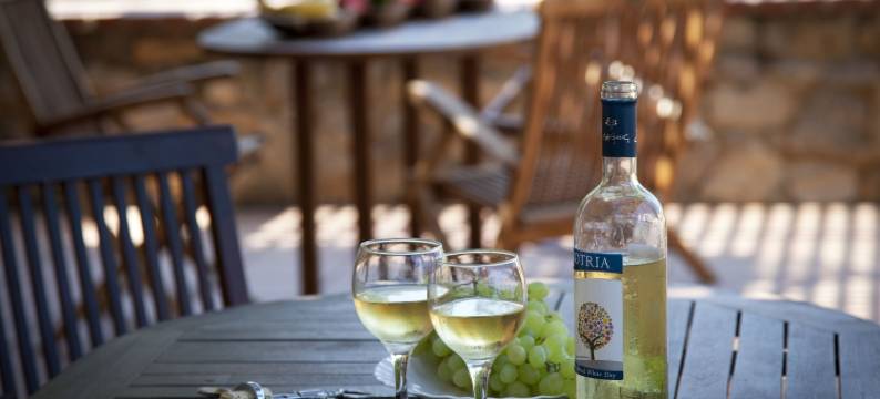 米洛斯酒店式公寓(Mylos Hotel Apartments)图片