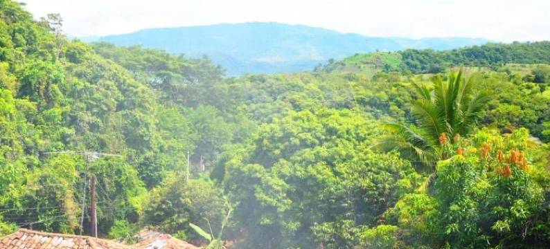 米普埃布洛旅馆(Hostal Raíces de mi Pueblo)图片