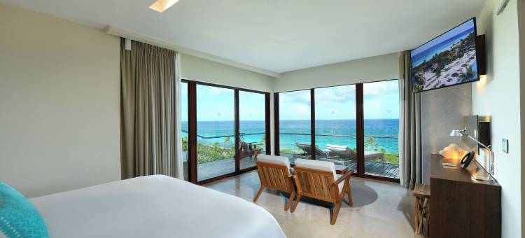 墨西哥艾克斯克拉特酒店-所有公园及游览-全包式(Hotel Xcaret Mexico All Parks All Fun Inclusive)图片