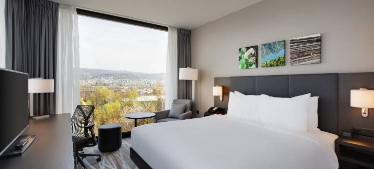 苏黎世利马塔尔希尔顿花园酒店(Hilton Garden Inn Zurich Limmattal)图片