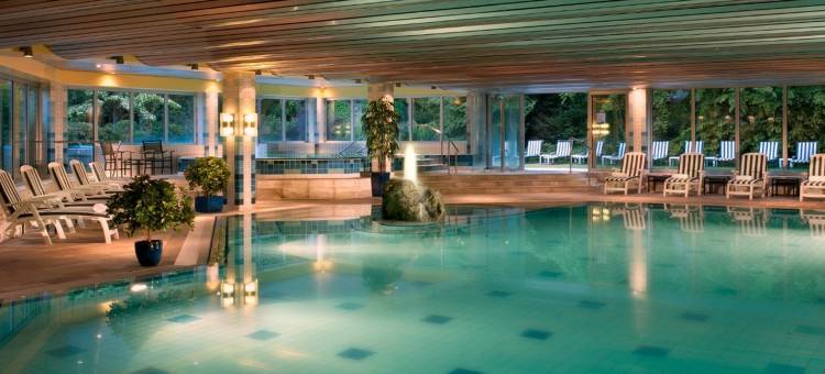 巴登-巴登巴迪舍霍夫 - 莱昂纳多限量版(Badischer Hof - Baden Baden - Leonardo Limited Edition)图片