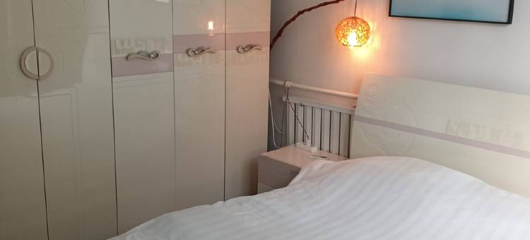 雄县梧桐树民宿(人民大街分店)图片