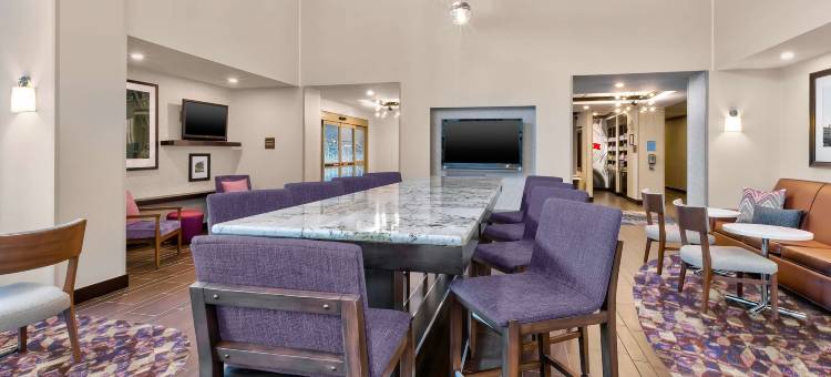 希尔顿欢朋套房酒店-弗林特大布兰克(Hampton Inn & Suites Flint/Grand Blanc)图片