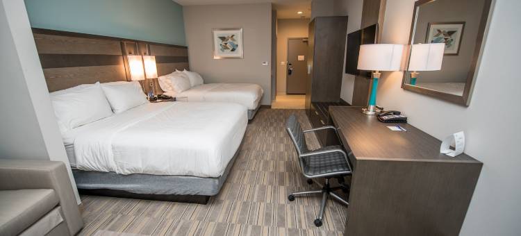 智选假日酒店及套房查尔斯湖南部娱乐场区(Holiday Inn Express & Suites Lake Charles South Casino Area)图片