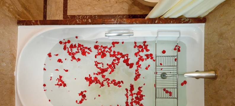 法利亚斯酒店(Fariyas Hotel Mumbai , Colaba)图片