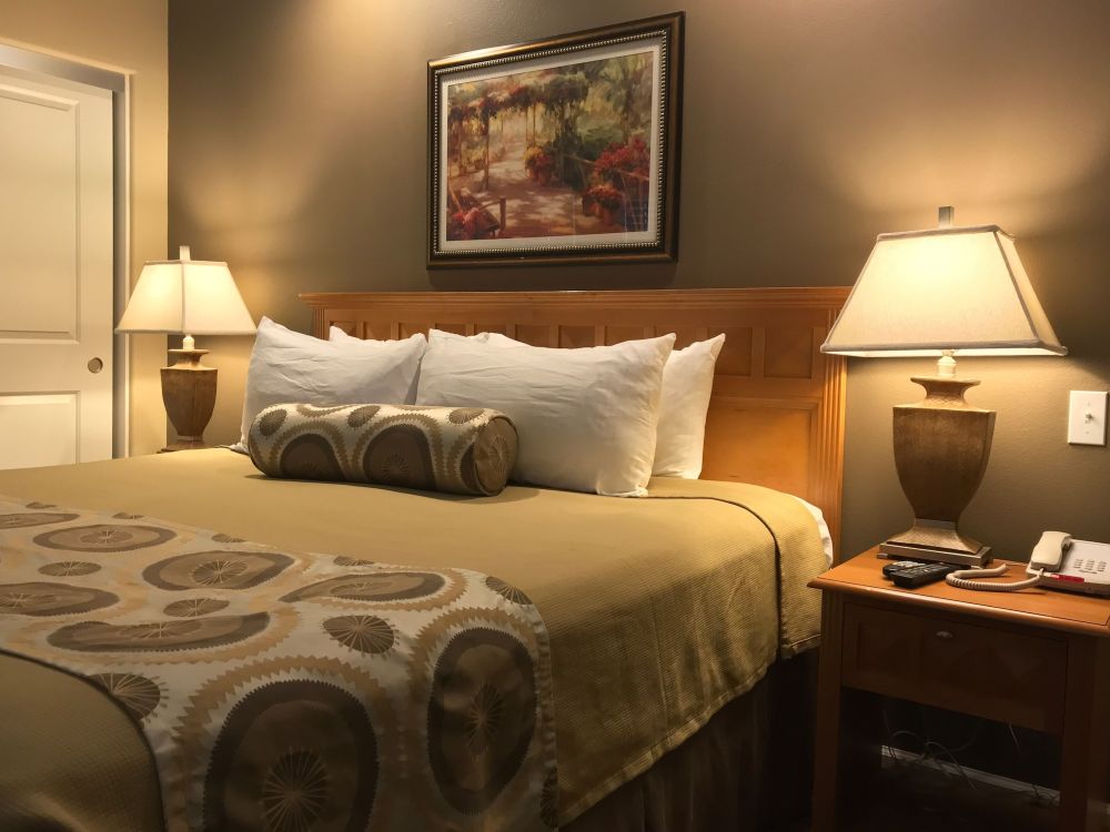 The Oasis ResortOver view