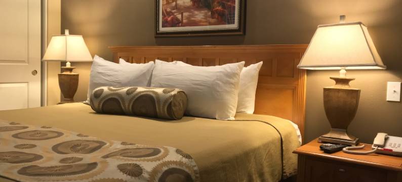 绿洲度假酒店(The Oasis Resort)图片