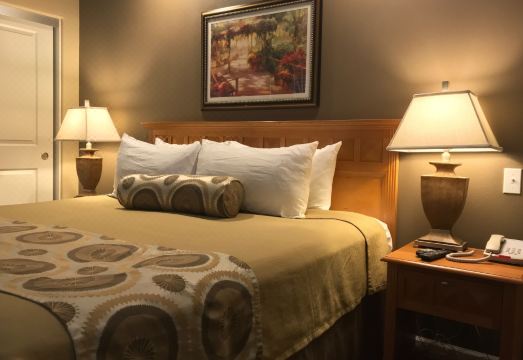 The Oasis Resort Hotel Overview