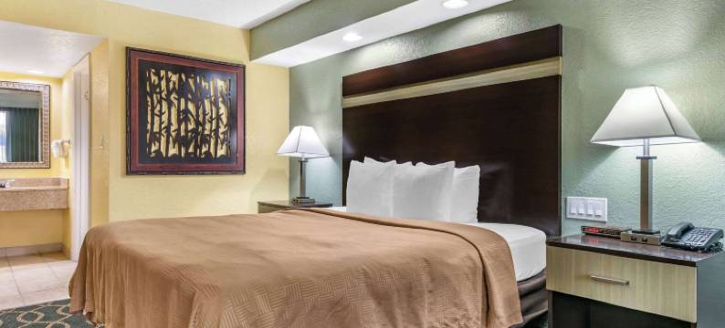 国际大道克拉丽奥酒店(Clarion Inn Orlando International Drive - Icon Park)图片