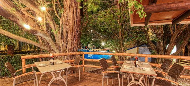 帕伦克雷阿尔城酒店(Hotel Ciudad Real Palenque)图片
