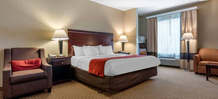 拜洛希海洋温泉舒适套房酒店(Comfort Suites Biloxi/Ocean Springs)图片