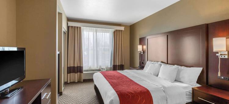 锡福德舒适全套房酒店(Comfort Suites)图片