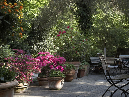 Wedina服务式公寓