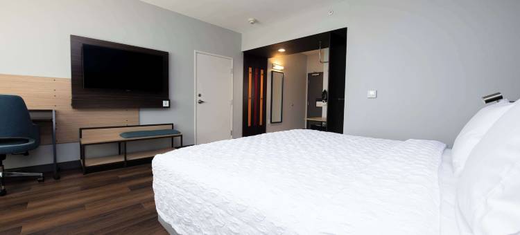 希尔顿真实酒店Vista Ridge商场(Tru by Hilton Lewisville Vista Ridge Mall)图片