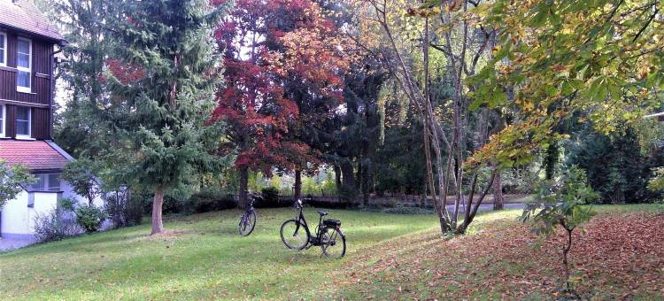 斯图加特沙顿Relexa森林酒店(Relexa Waldhotel Schatten Stuttgart)图片