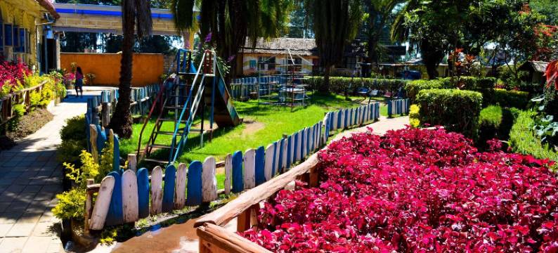 威达公路汽车旅馆(Wida Highway Motel)图片