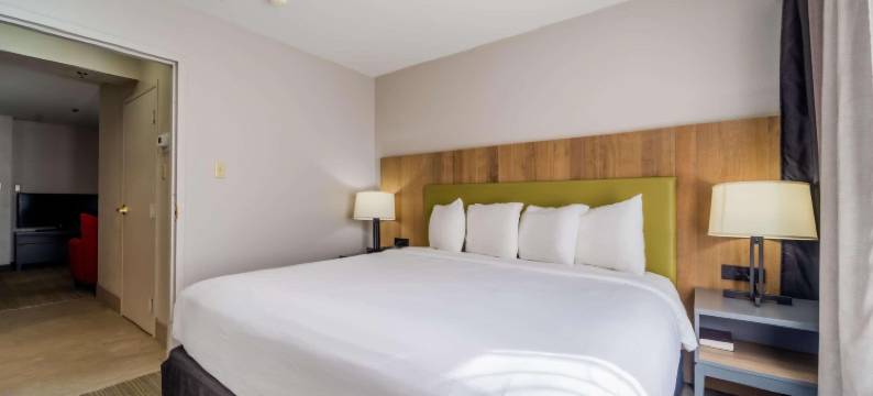 里士满I-95南丽怡酒店(Country Inn & Suites by Radisson, Richmond I-95 South, VA)图片