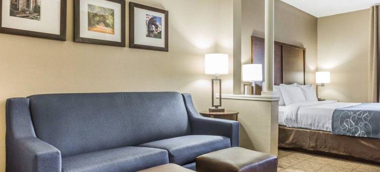 棕榈岛科耐特舒适套房酒店(Comfort Suites at Isle of Palms Connector)图片