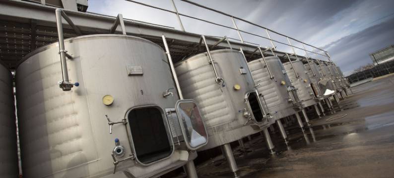 康普利约伊诺图里芬卡艾斯塔酒店(Complejo Enoturístico Finca la Estacada)图片