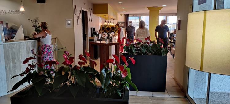 塞特巴拉鲁克海马原创城市酒店(The Originals City Hotel Hippocampe Sète Balaruc)图片