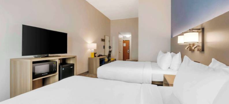 舒适套房酒店-萨拉索塔-西耶斯塔岛(Comfort Suites Sarasota-Siesta Key)图片