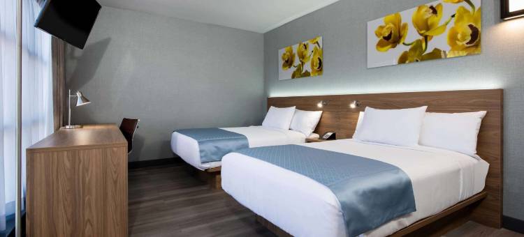 长岛市蔚景温德姆酒店(Wingate by Wyndham Long Island City)图片