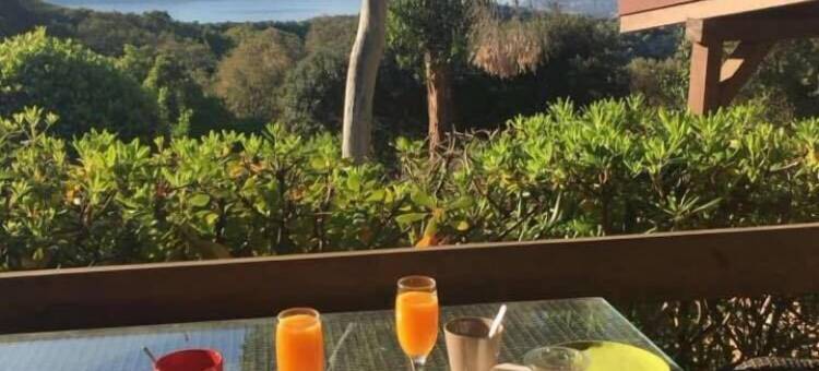 维琪奥港奥斯酒店(Hotel les Hauts de Porto-Vecchio)图片