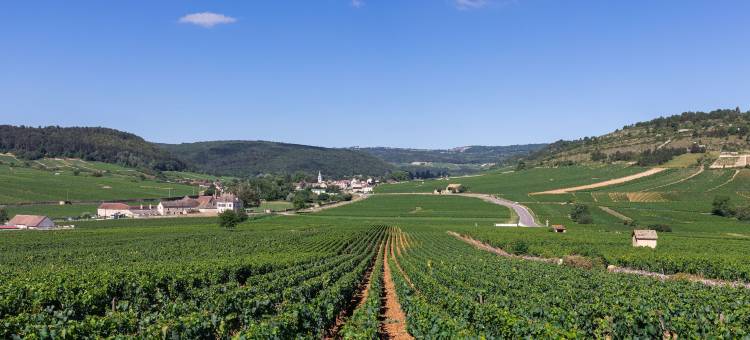 莫索特酒店(Hôtel les Hauts de Meursault)图片