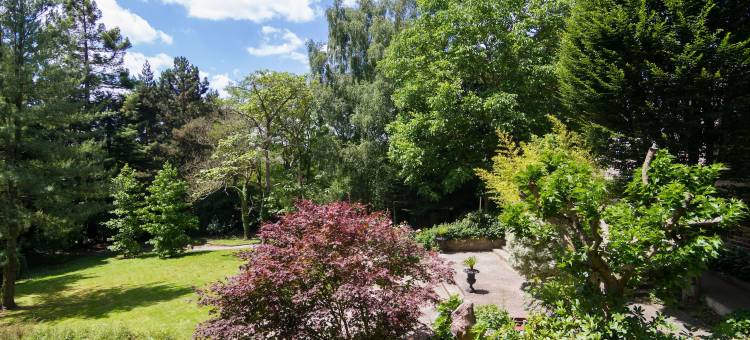 Logis城堡酒店(Logis Hotel du Chateau)图片