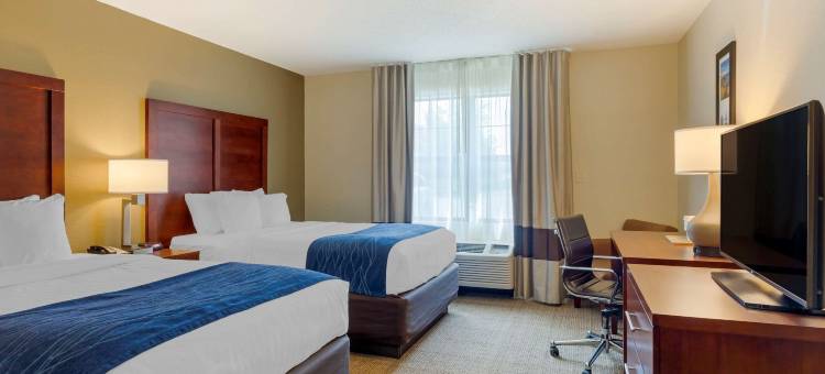 丹佛斯- 波士顿北岸舒适酒店(Comfort Inn Danvers - Boston North Shore)图片