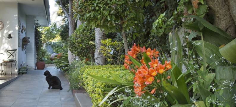 卡尔斯罗基厄之家酒店(Carslogie House)图片