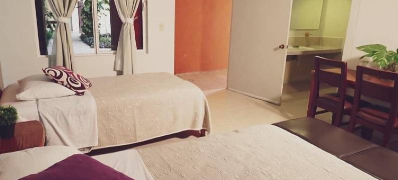 翠景酒店(Hotel Vista Verde)图片