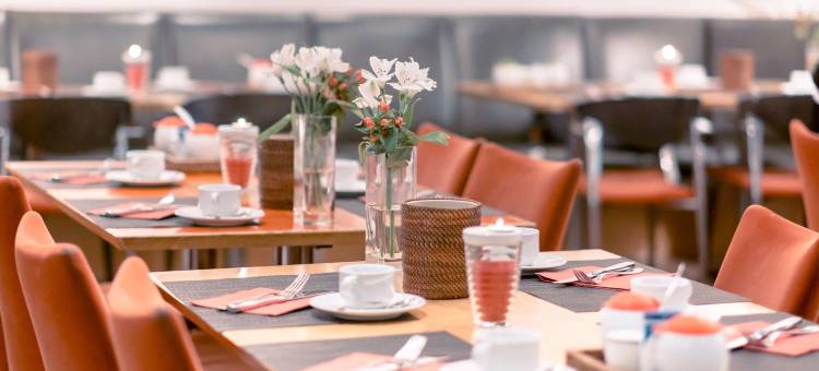 汉诺威朗根哈根安比恩特郁金香酒店(Hotel Ambiente Langenhagen Hannover by Tulip Inn)图片