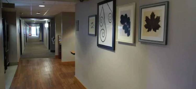 兰辛丽怡酒店(Country Inn & Suites by Radisson, Lansing, MI)图片